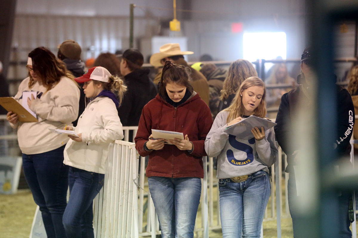 FFA Livestock Judging (12).JPG